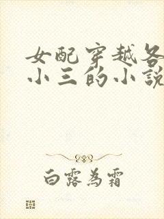 女配穿越各个做小三的小说