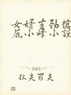 女婿有劲枪枪到底小峰小说