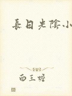 长日光阴小说