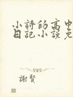 小诗的高中成长日记小说免费阅读