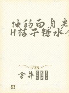 他的白月光HVH桔子糖水全文