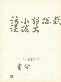 污小说总裁整夜没拔出