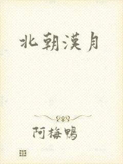 北朝汉月
