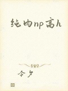 纯肉np高h