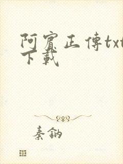 阿宾正传txt下载