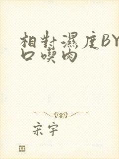 相对湿度BY大口吃肉