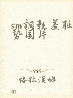 sm调教羞耻姿势图片