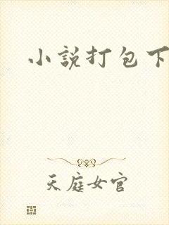 小说打包下载