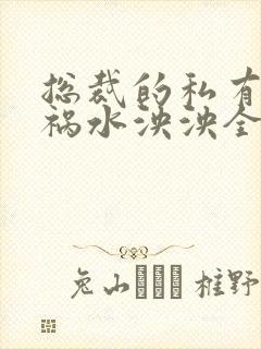 总裁的私有宝贝祸水泱泱全文阅读