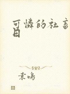 可怜的社畜东度日