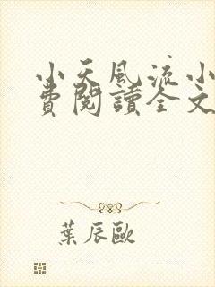 小天风流小说免费阅读全文最新章节