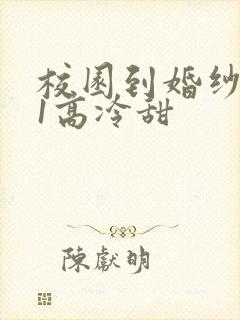 校园到婚纱1V1高冷甜