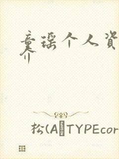 童瑶个人资料简介