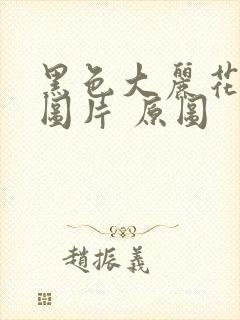 黑色大丽花真实图片 原图封面