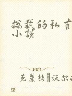 总裁的私有宝贝小说