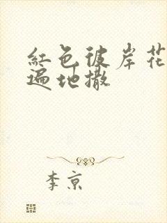 红色彼岸花花瓣遍地撒