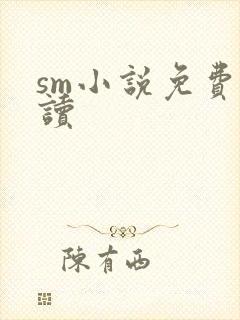 sm小说免费阅读