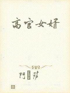 高官女婿