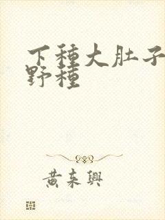 下种大肚子怀孕野种