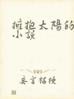 拥抱太阳的月亮小说