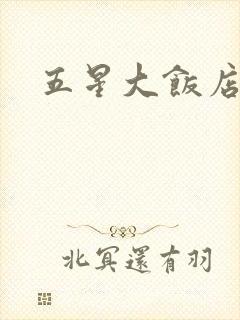 五星大饭店小说