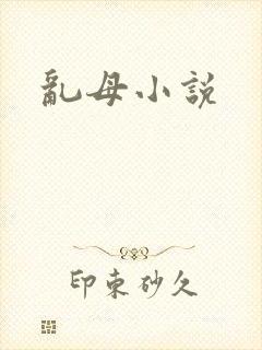 乱母小说