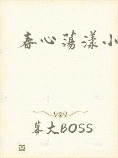 《春心荡漾小说》小说封面