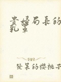 贵妇局长的蕾丝乳罩