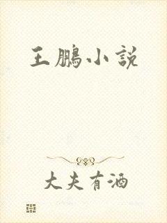 王鹏小说