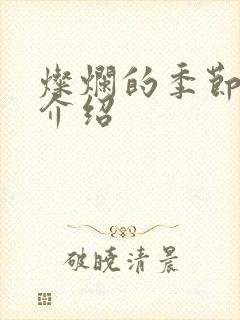 灿烂的季节剧情介绍