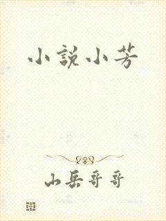 小说小芳