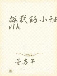 总裁的小秘书1v1h