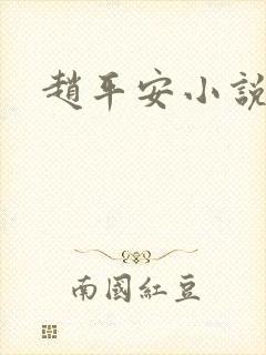 赵平安小说主角