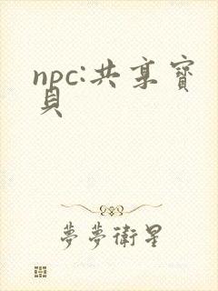 npc:共享宝贝