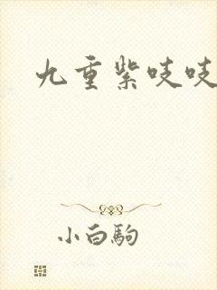 九重紫吱吱小说