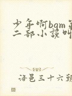 少年啊bgm第二部小说叫什么