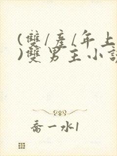 (双/产/年上)双男主小说