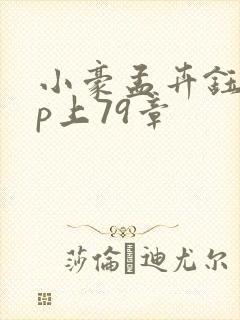 小豪孟卉钰慧三p上79章