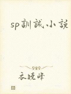 sp训诫小说