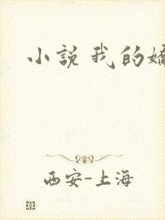 小说 我的娇妻