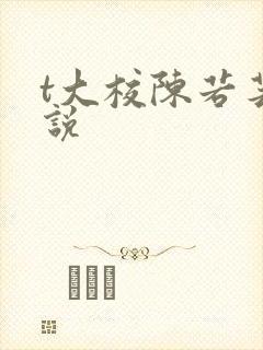 t大校陈若芸小说