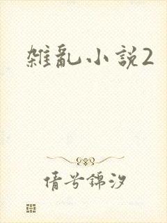 杂乱小说2