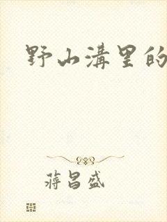 野山沟里的村庄