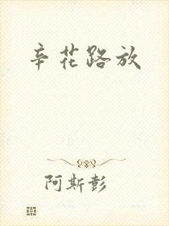 《辛花路放》小说封面