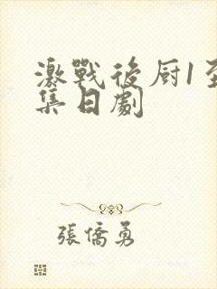 激战后厨1至5集日剧