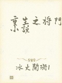 重生之将门毒后小说