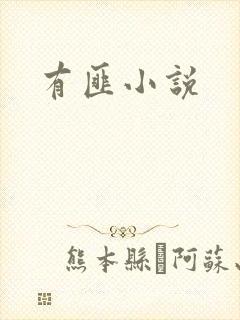 有匪小说