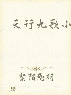 天行九歌小说