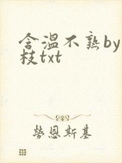 含温不熟by词枝txt