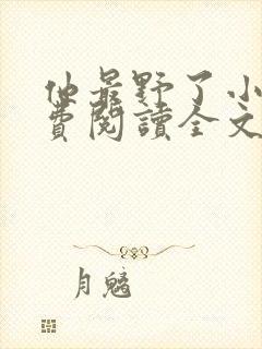 他最野了小说免费阅读全文